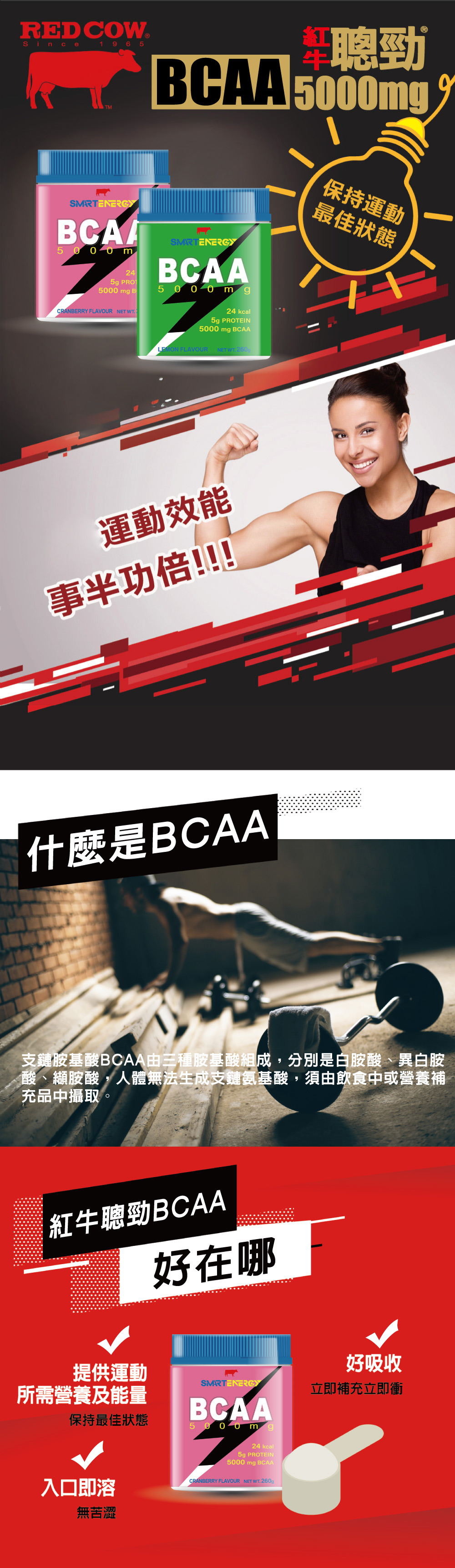 支鏈胺基酸推薦：紅牛聰勁 BCAA 260g 罐裝蔓越莓口味