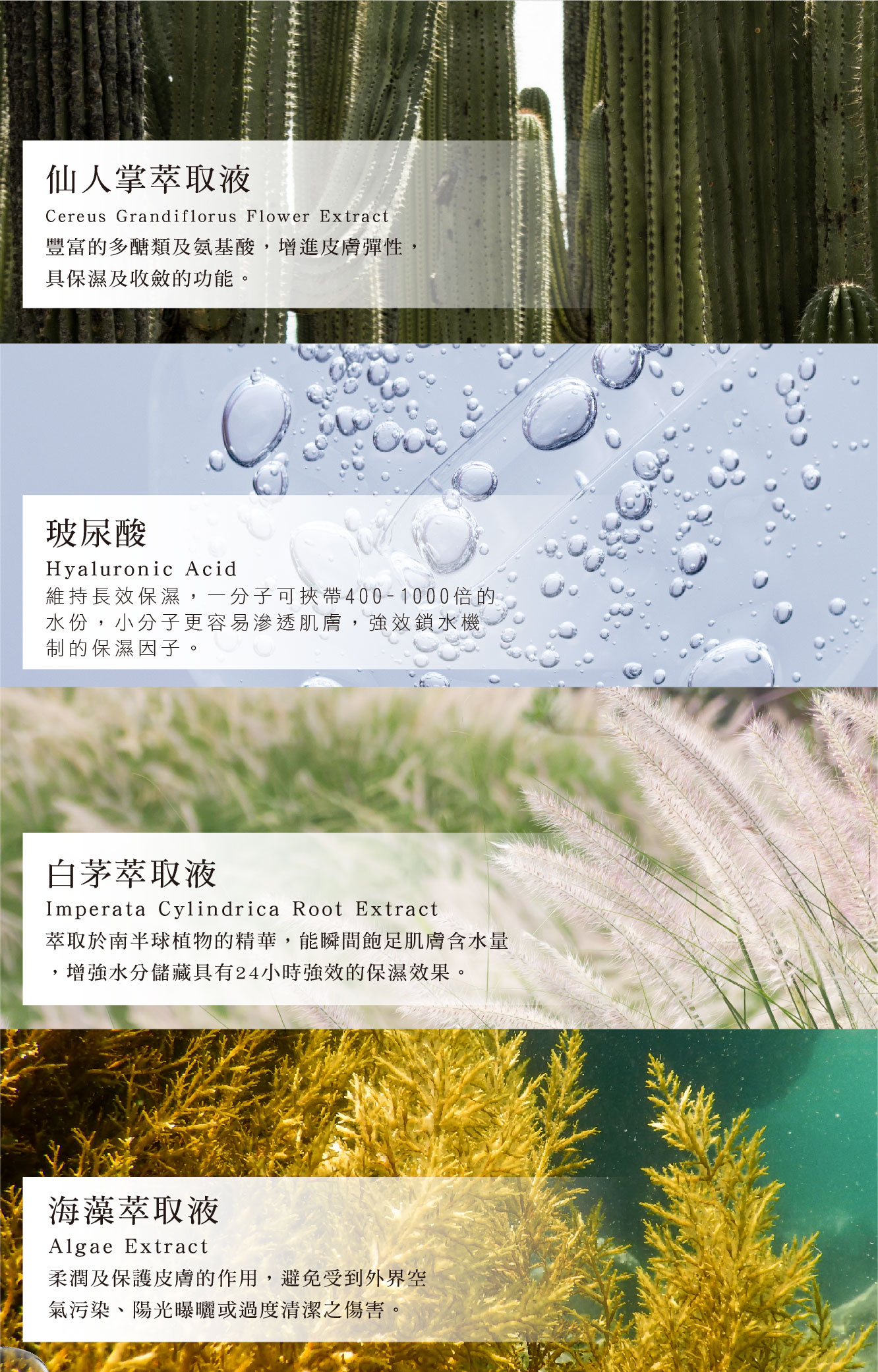 保濕小仙瓶|瞬效無瑕水潤精華30g 9 小仙瓶主要成分 瞬效無瑕水潤精華 - VIYA'S薇亞絲專業保養品