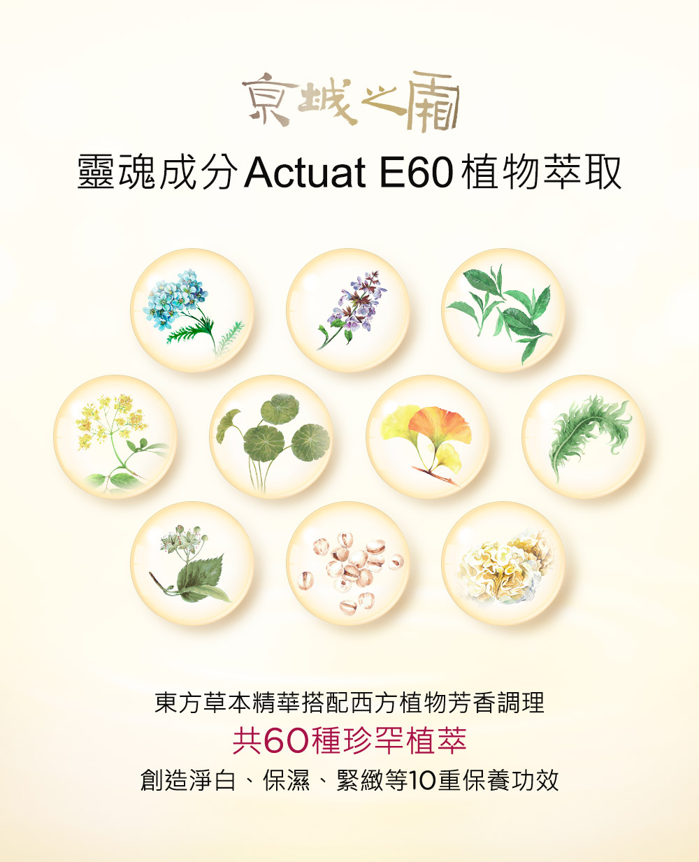 京城之霜獨家配方60植萃，與雪露中添加玻尿酸、白藜蘆醇、索羅門王油等成分加乘作用，抗老嫩膚、抗黯沉亮顏更有效。