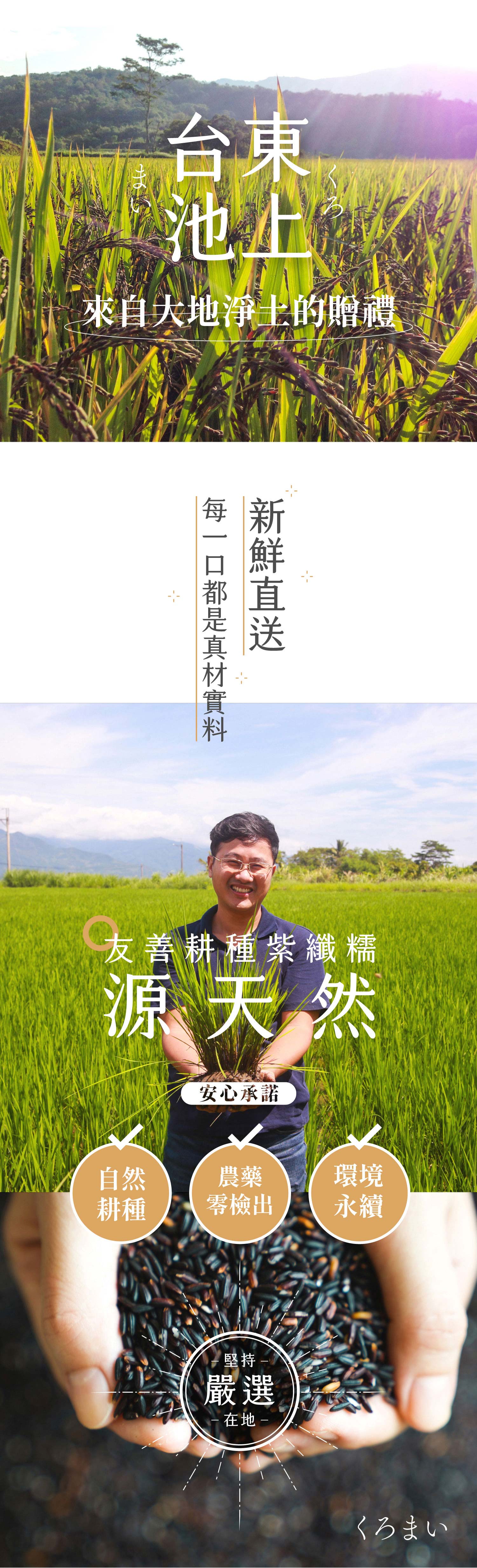 結合了東臺灣最純淨的滋味！嚴選臺東友善農法品牌「源天然」的紫纖糯，再搭配自然農法耕作花蓮羅山白米發酵而成的天然米麴，精心釀製出的「紫米甘酒」，香甜滑順的口感中能咀嚼到白米與紫纖糯的顆粒。豐含維他命B 群、胺基酸、酵素、葡萄糖、膳食纖維、花青素與礦物質等營養素，能促進腸道蠕動、增加飽足感！ | 改變生命的豆漿店 | 禾乃川國產豆製所