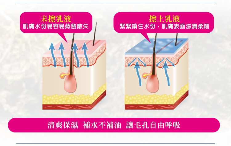 Vanicream薇霓肌本無油安膚清爽調理乳液,乳液,控油,清爽,無添加,無油,保濕,控油,痘,粉刺,受損,敏弱,肌膚,油性肌,混合肌,嬰幼兒,妊娠保養,無負擔,防護隔離,雞皮粒,曬後修護,四季保養,不黏膩,好吸收,脂漏性皮膚炎,尿布疹,濕疹,有效,推薦,會呼吸的乳液,清爽乳液,皮膚科醫師推薦,醫美級保養品,百大網紅推薦,粉刺,痘痘,缺水,乾燥,凡士林,粗糙,出油,毛孔粗大,保濕,脫屑,脫皮,皮膚炎,濕疹,抗過敏,消炎,退紅,止癢,異位性,脂漏性,敏感肌,保養品,無添加,母嬰用品,美國原裝進口,醫師推薦,國際認證,臨床研究,醫美,網友熱搜,熱銷排行,口碑推薦,評價,體驗,實測,開箱