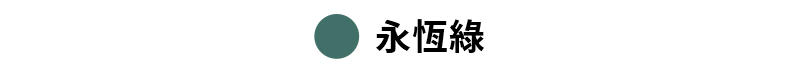 【黑標360N】全方位柔彈緊身褲 XEXYMIX- 瑜珈訓練、美感長褲、1+1超值組 62 34