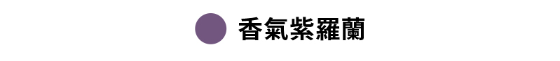 【黑標360N】全方位柔彈緊身褲 XEXYMIX- 瑜珈訓練、美感長褲、1+1超值組 72 40