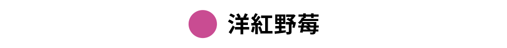 【黑標380N】柔韌支撐 美型翹臀瑜珈褲 XEXYMIX - 1+1超值組、全方位運動長褲 20 17