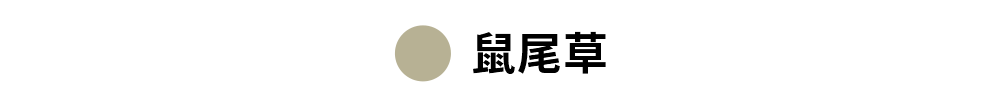 【黑標380N】柔韌支撐 美型翹臀瑜珈褲 XEXYMIX - 1+1超值組、全方位運動長褲 65 62