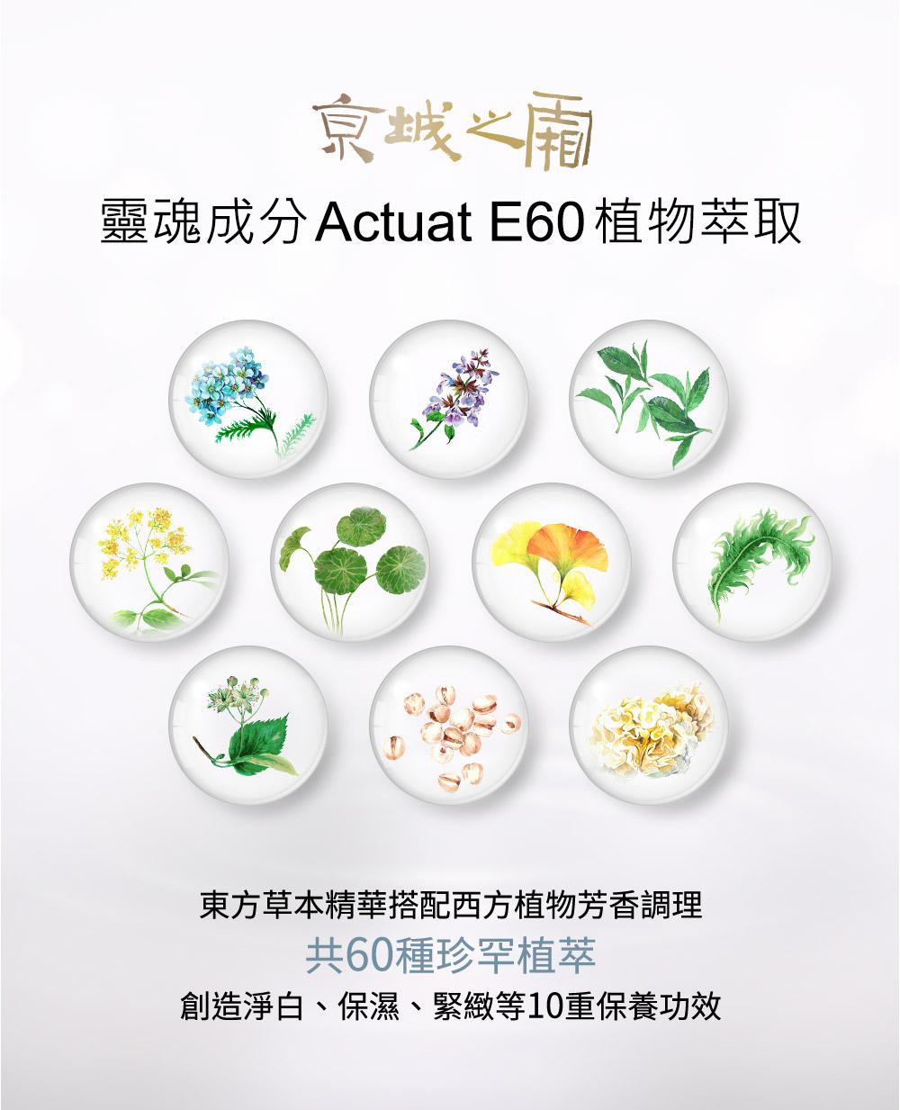 京城之霜獨家配方60植萃，與洗面霜中添加的益生菌、保濕等成分加乘作用，將洗臉全面升級！不只淨膚、美肌更有效。