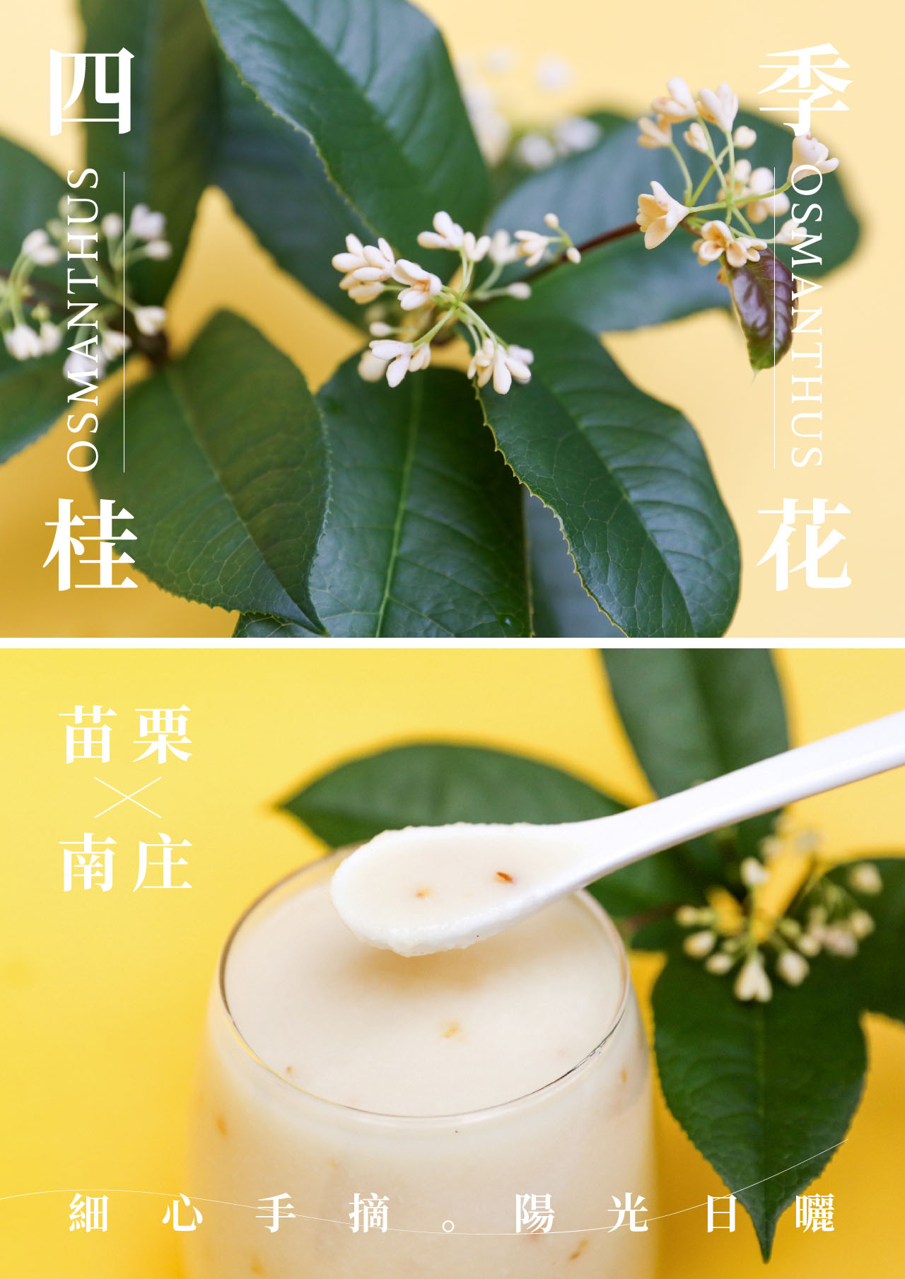 嚴選苗栗南庄四季桂花，經由手工細心摘採，透過日曬完整保留花朵的色澤與香氣，再與禾乃川自製米麴用時間慢慢釀酵，呈現淡雅的鵝黃色！桂花的優雅清香，搭配米粒圓潤飽滿且細緻的口感，補充維他命B 群、氨基酸、葡萄糖等豐富營養，而桂花富含二十多種胺基酸、維生素與花青素，在口中成就迷人順口的花系列養生甘酒飲品！ | 改變生命的豆漿店 | 禾乃川國產豆製所