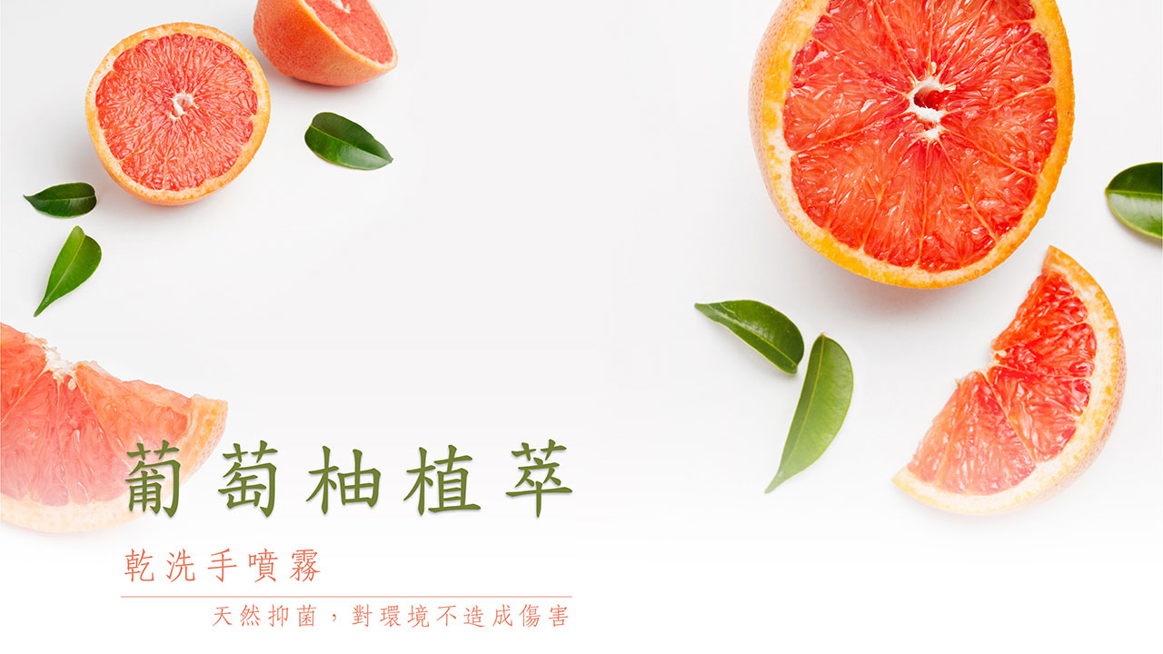 療癒乾洗手 | 保濕潔淨不傷肌膚_葡萄柚乾洗手補充液_300ml 4 0