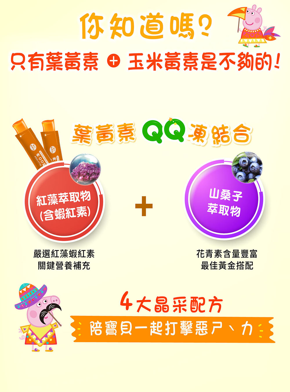 QQ凍營養配方