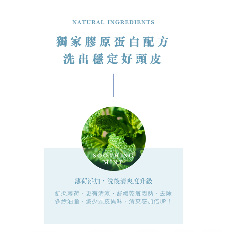 0%矽靈薄荷洗髮精_500ml | 夏日清涼釋放頭皮悶熱 | 柔順不乾澀的無矽靈- NO.1綠漾森林500mlX1 5 1