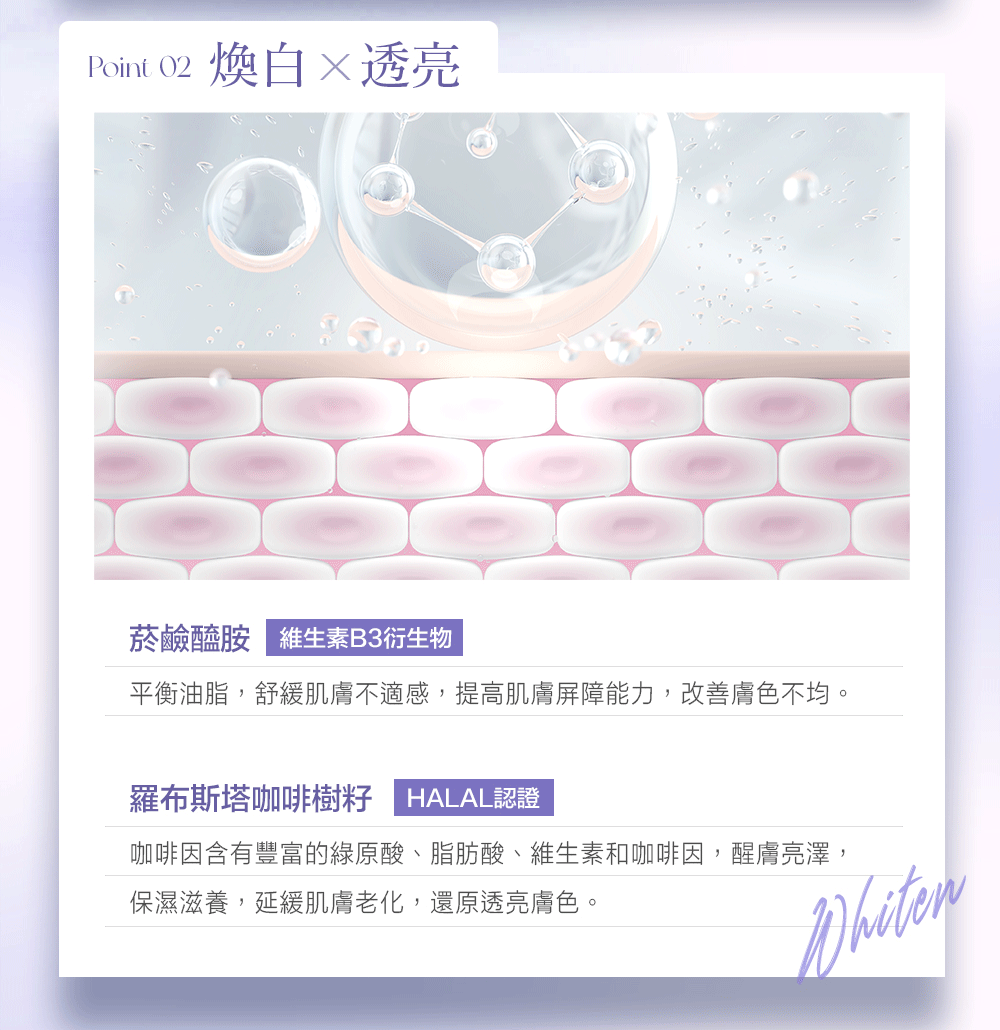 Point 02 煥白×透亮菸鹼醯胺 維生素B3衍生物平衡油脂,舒緩肌膚不適感,提高肌膚屏障能力,改善膚色不均。羅布斯塔咖啡樹籽 HALAL認證咖啡因含有豐富的綠原酸、脂肪酸、維生素和咖啡因,醒膚亮澤,保濕滋養,延緩肌膚老化,還原透亮膚色。