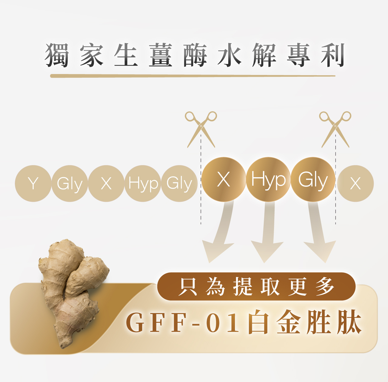 【NIPPI】Premium 100% 純膠原蛋白粉｜白金版