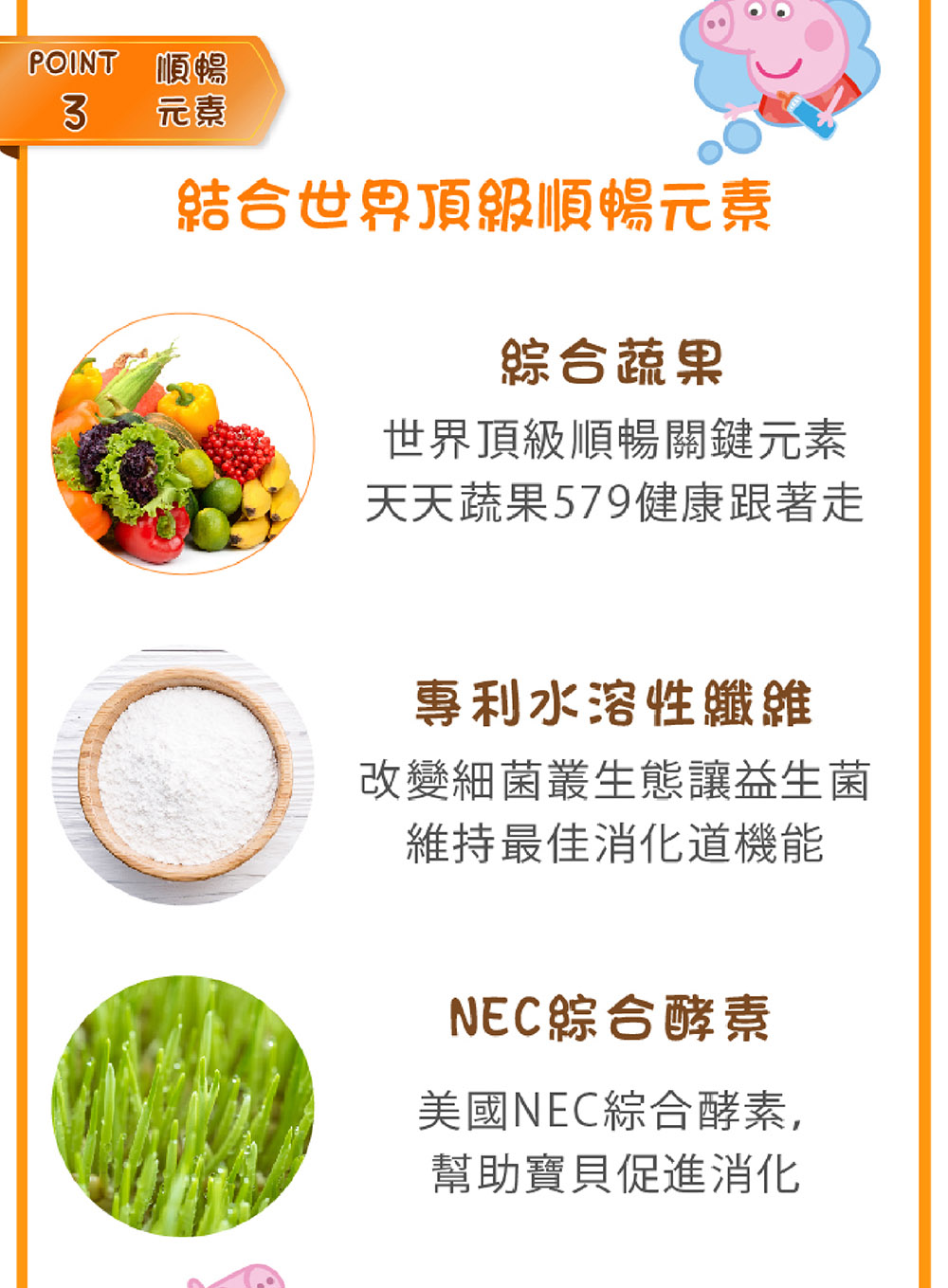 POINT 順暢3元素結合世界頂級順暢元素綜合蔬果世界頂級順暢關鍵元素天天蔬果579健康跟著走專利水溶性纖維改變細菌叢生態讓益生菌維持最佳消化道機能NEC綜合酵素美國NEC綜合酵素,幫助寶貝促進消化