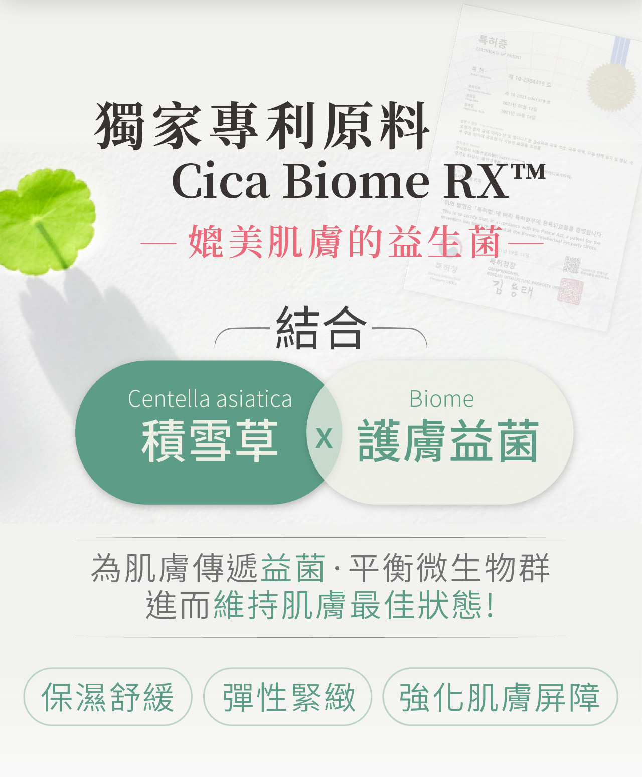 【1+1淨潤益菌洗卸組】10秒潤膚卸妝膏(90ml)✚積雪草安瓶洗卸凝露(110g) ✅卸妝+清潔+保濕,一罐搞定@【BeautyWa美麗娃】 19 15