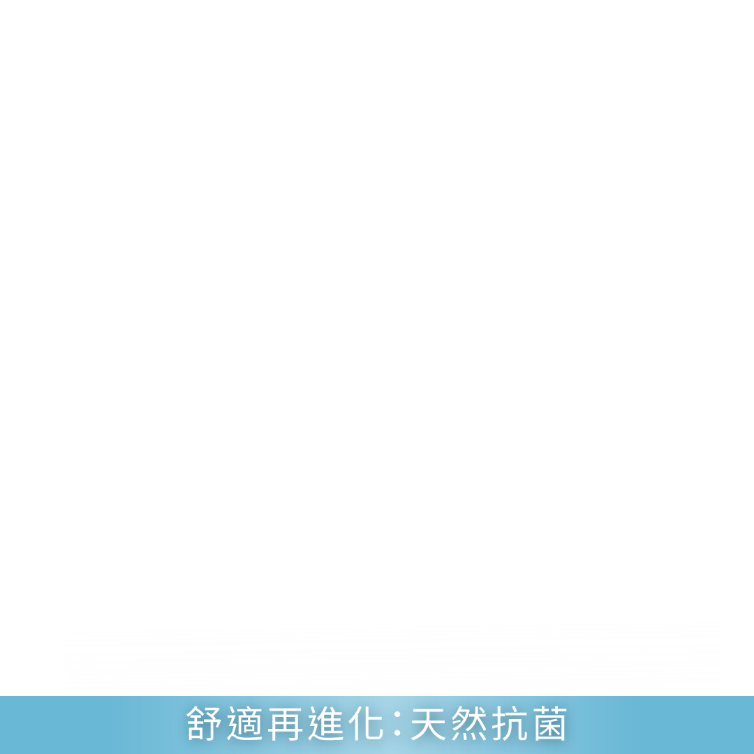 productBadgeImage_//img.91app.com/webapi/imagesV3/Cropped/ProductBadge/58359/ratioOneToOne/638854062420997200?v=1