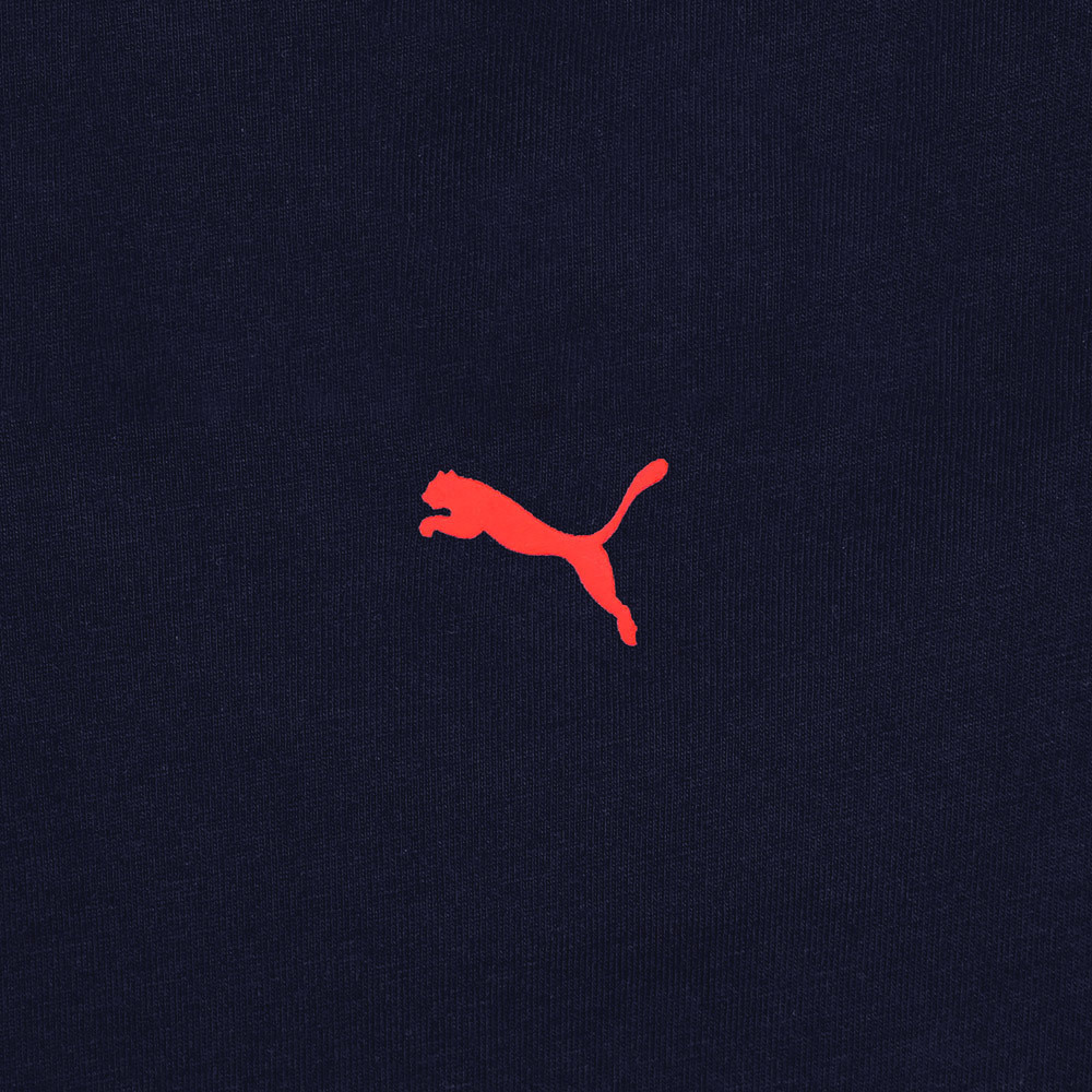 PUMA BT系列Taiwan薄長T恤 男性