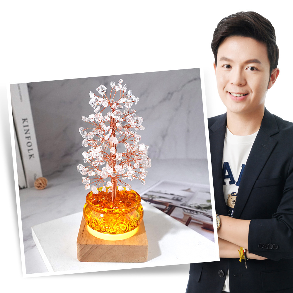 限時送搖錢樹🎁 | 熱銷推薦| Lucky365