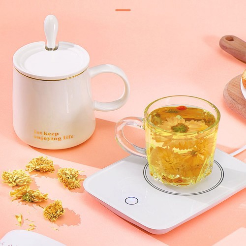 【Redbox】Chigo 55°C暖暖杯-廠商直送