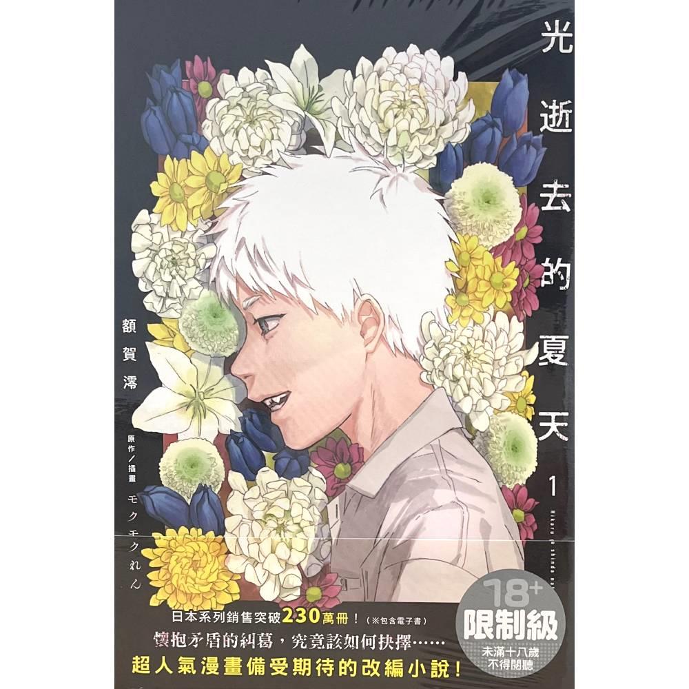 光逝去的夏天(1)