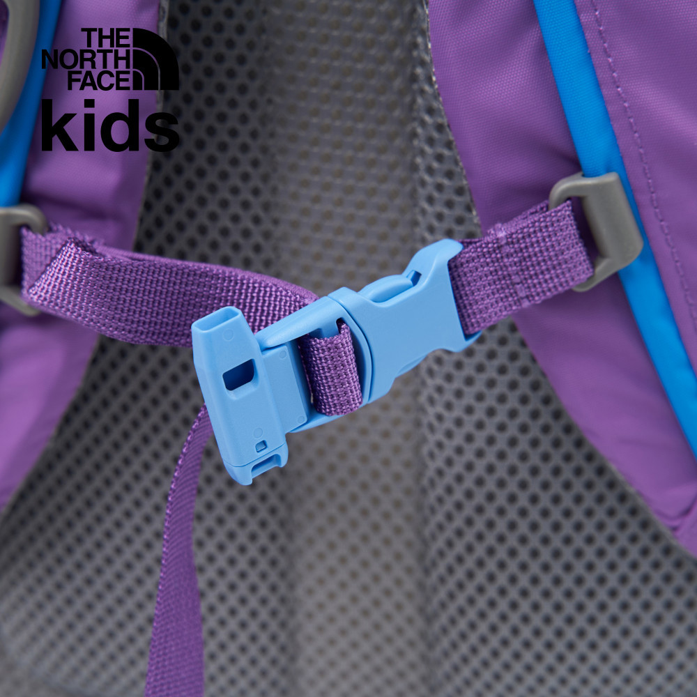 The North Face北面兒童紫色大尺寸品牌LOGO休閒後背包｜8AMXBET