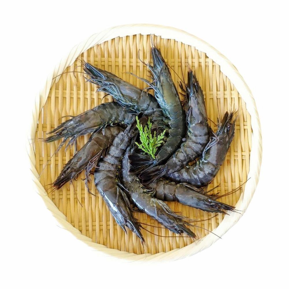 【一夫水產】藍寶石草蝦-廠商直送