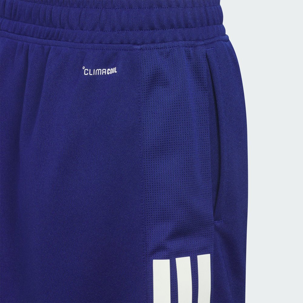 SPORTSWEAR 運動套裝