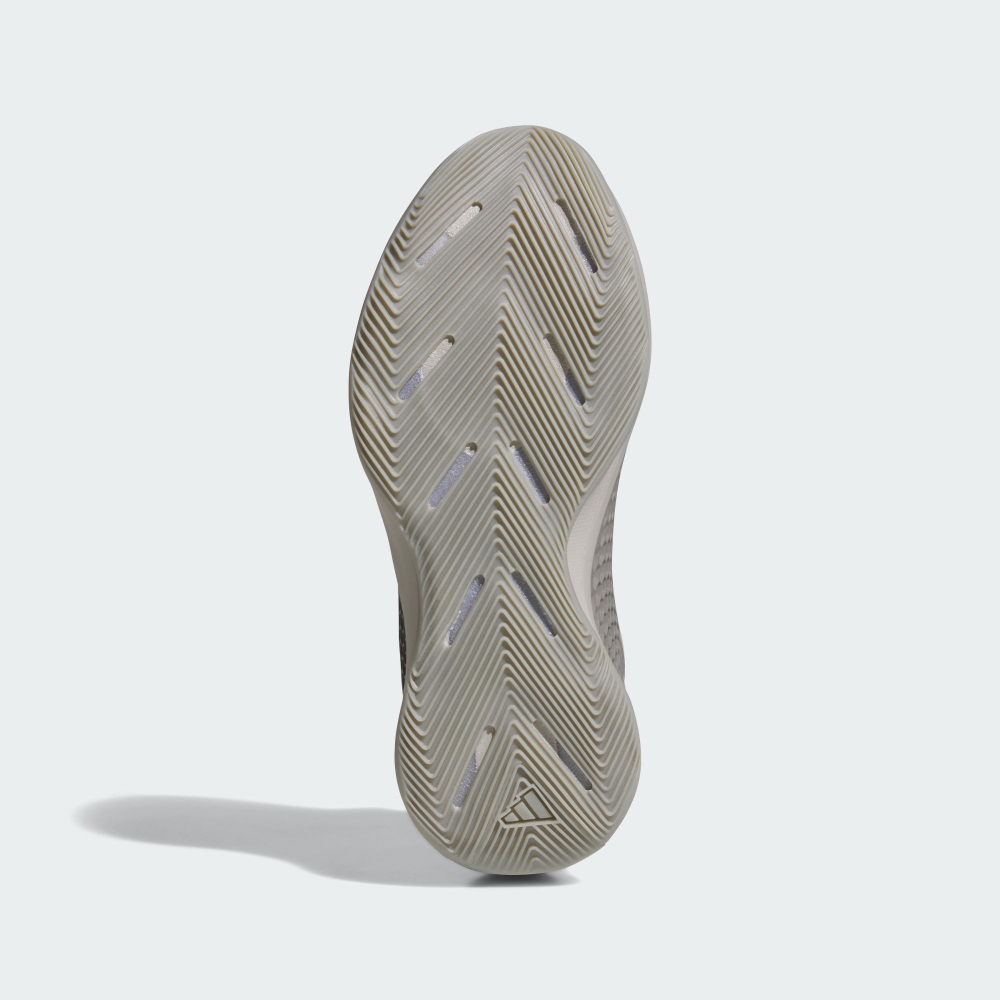 ANTHONY EDWARDS 1 LOW 籃球鞋