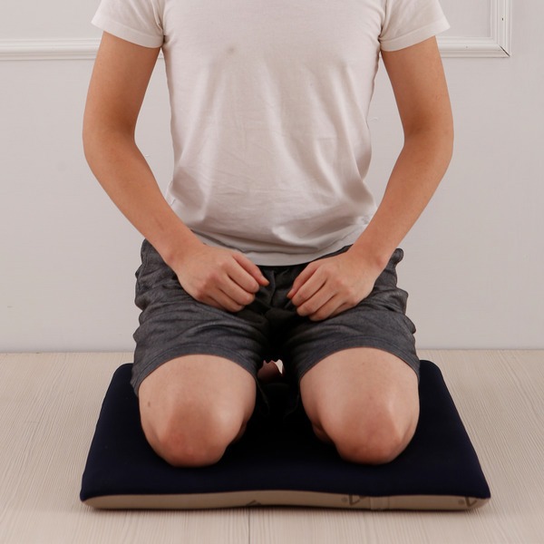 【IMAGER-37. 易眠床】和室墊(CD藍) (AE717701-5080-PS1)-廠商直送