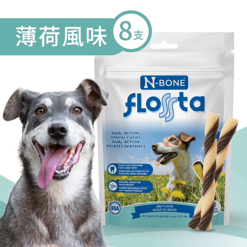 fLOSSta® 潔樂它 長支硬質雙草本潔牙條 薄荷風味 181.4g/8支/袋