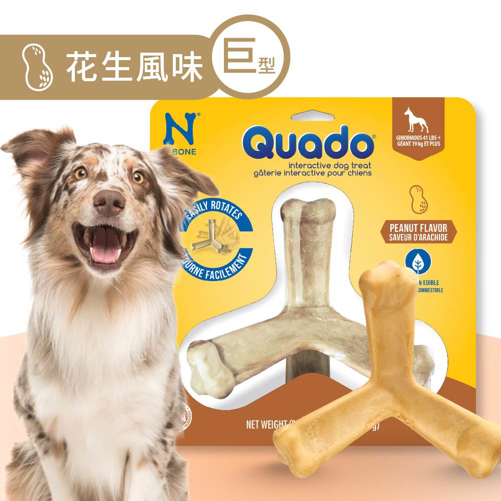 QUADO®  Q樂多 巨型趣味互動潔牙骨 花生風味 192g/盒