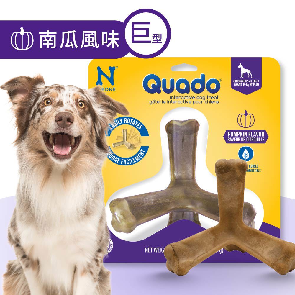 QUADO®  Q樂多 巨型趣味互動潔牙骨 南瓜風味 198g/盒