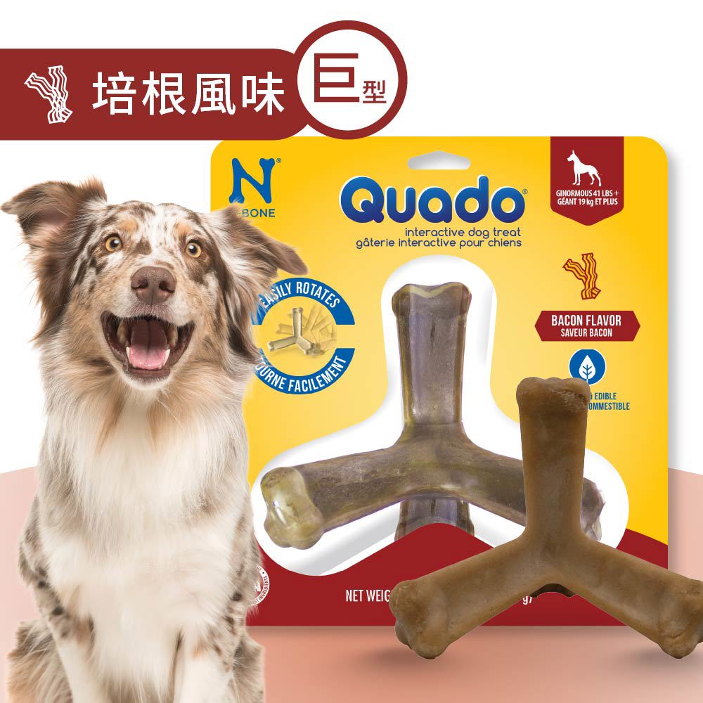 QUADO®  Q樂多 巨型趣味互動潔牙骨 培根風味 198g/盒