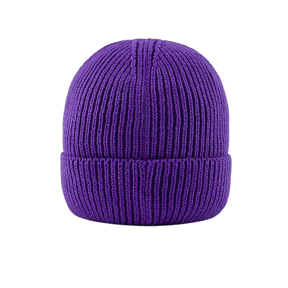 The North Face北面男女款紫色舒適保暖毛帽｜8CHENL4