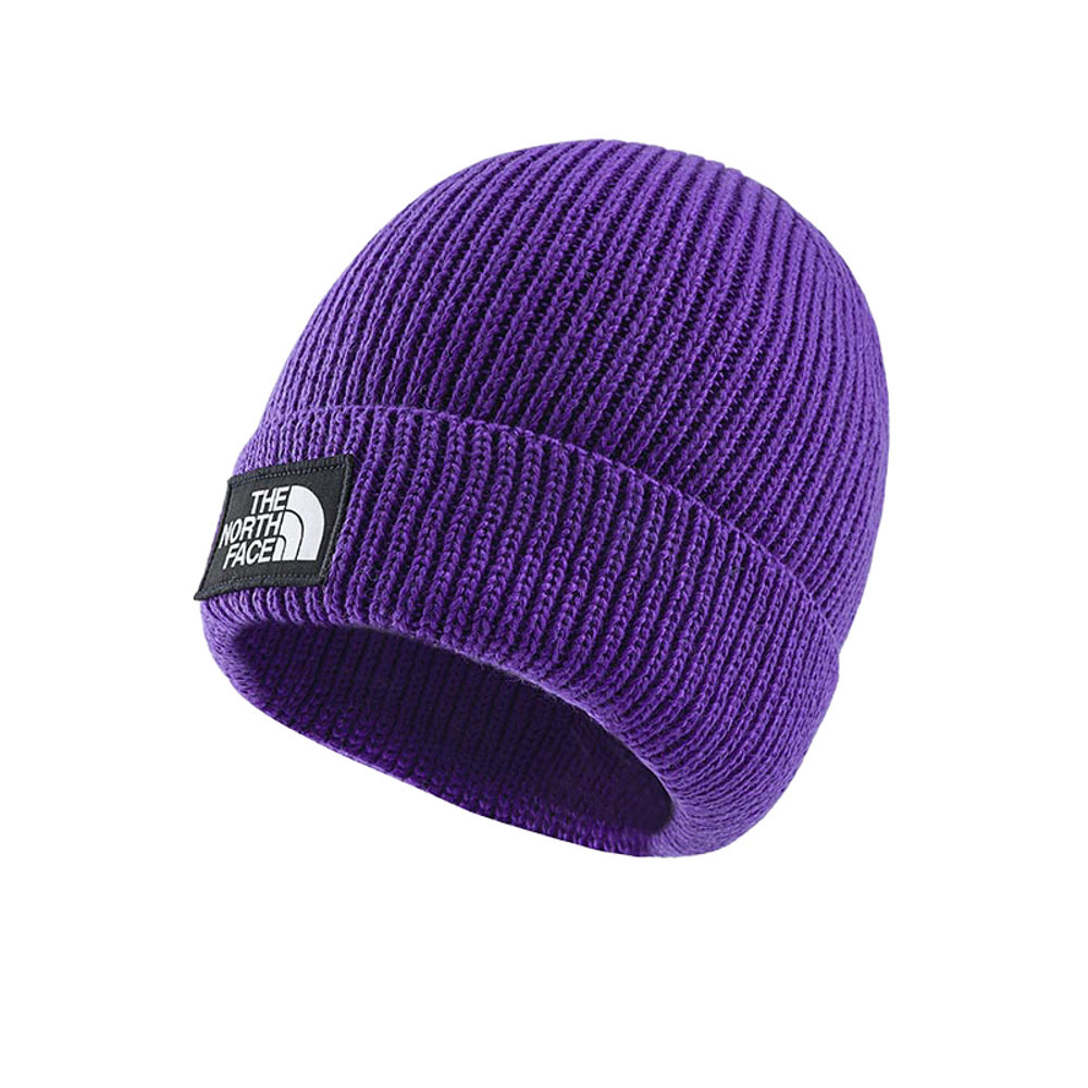 The North Face北面男女款紫色舒適保暖毛帽｜8CHENL4