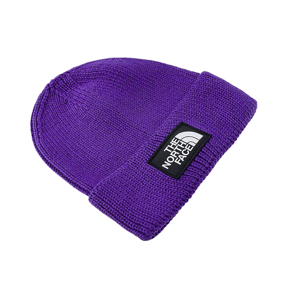 The North Face北面男女款紫色舒適保暖毛帽｜8CHENL4