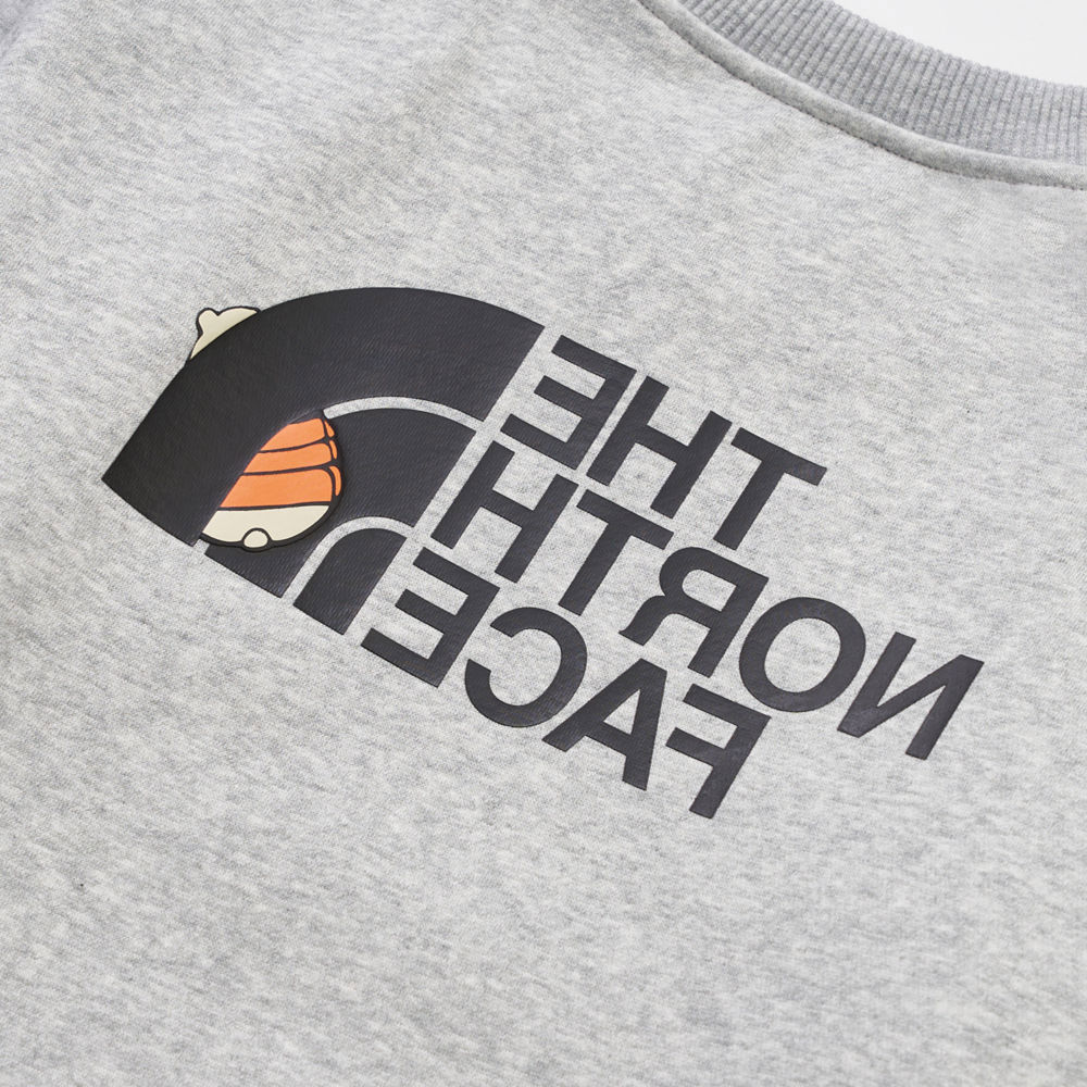 The North Face北面兒童灰色大尺寸印花長袖大學T｜8F15DYX