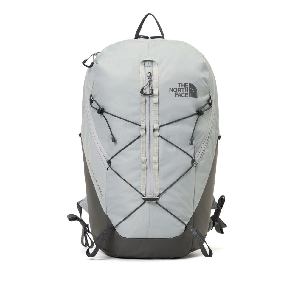 The North Face北面男女款灰色舒適背負休閒後背包｜8E9ZRO5