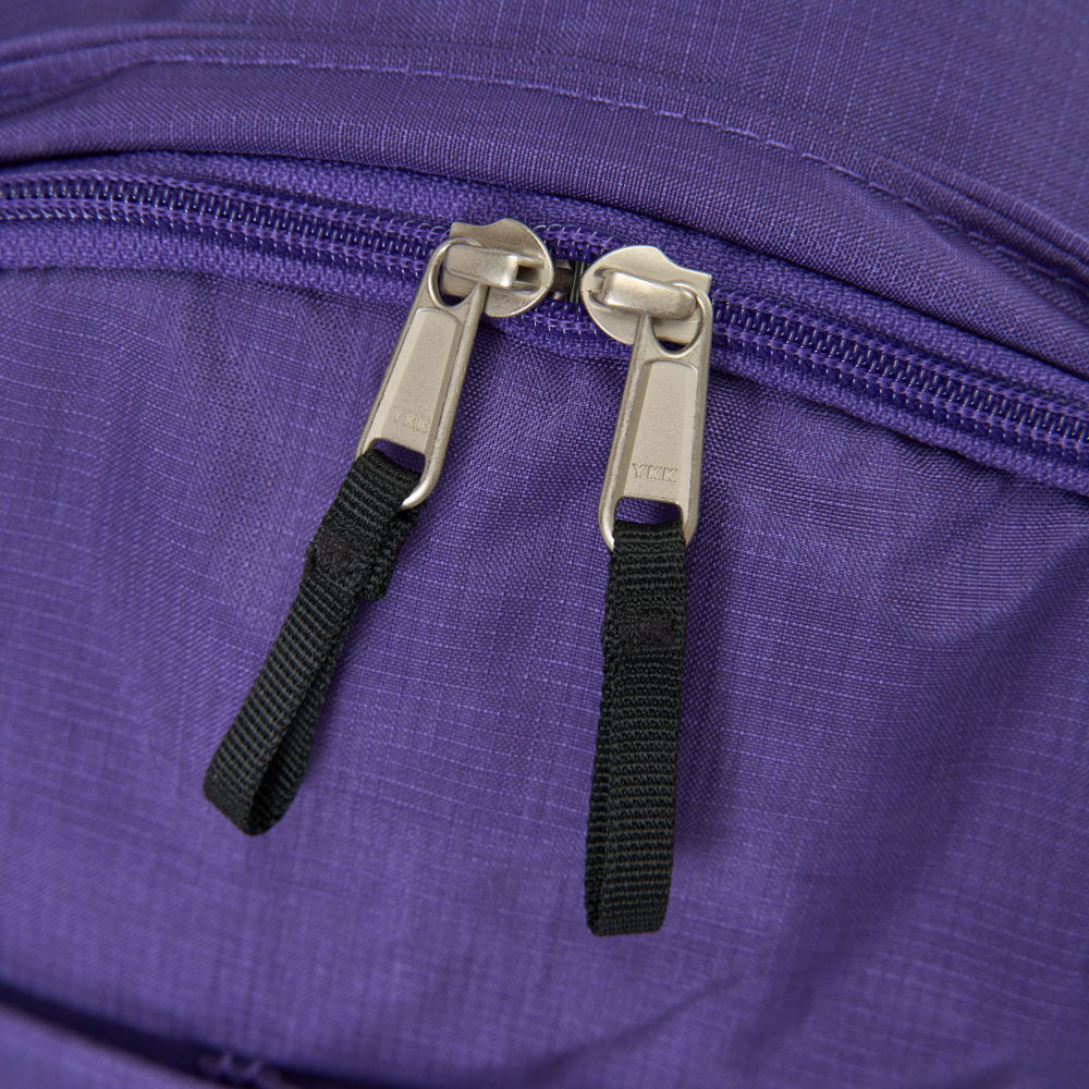 The North Face北面男女款紫色休閒後背包｜8AMMS96