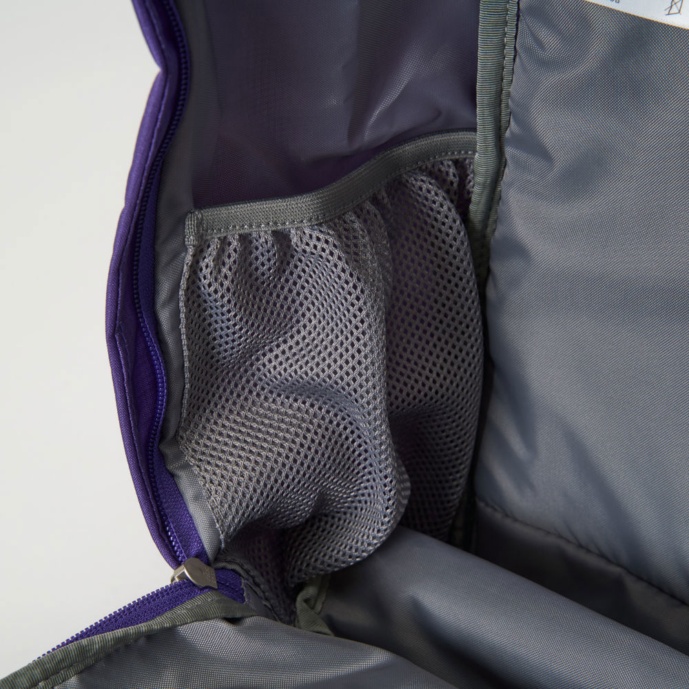 The North Face北面男女款紫色休閒後背包｜8AMMS96