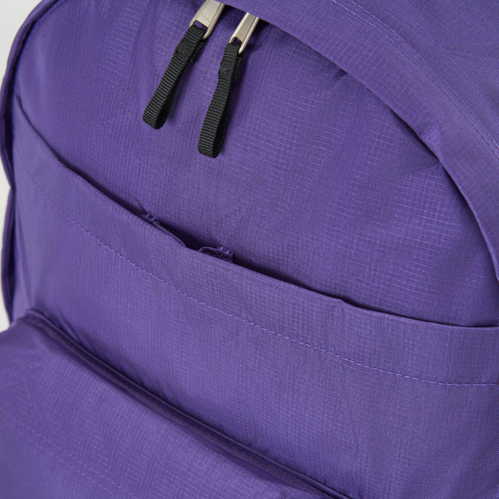 The North Face北面男女款紫色休閒後背包｜8AMMS96