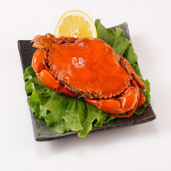 【華得水產】★買一送一★熟凍爆蛋巨無霸特大紅蟳 4隻組(250-290g±10%)-廠商直送