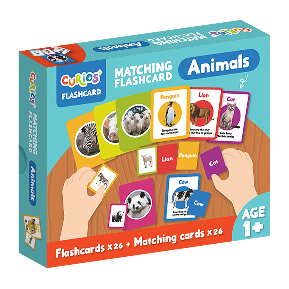 Curios 英文配對認知遊戲卡-認識動物
