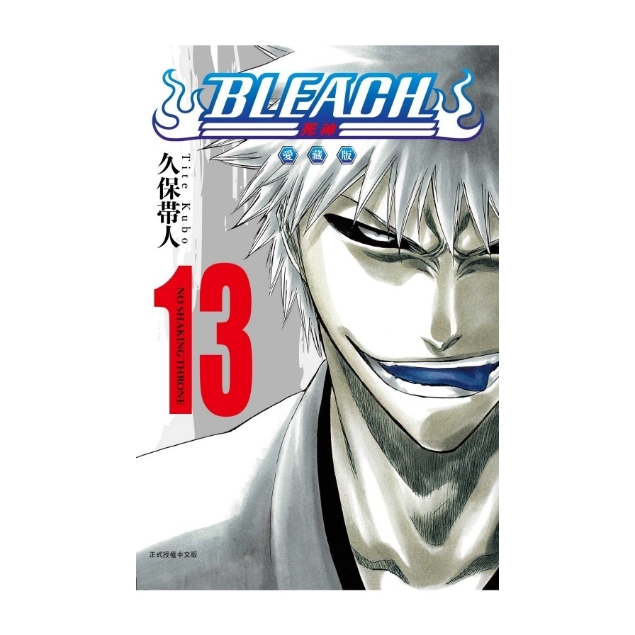 BLEACH死神愛藏版(13)