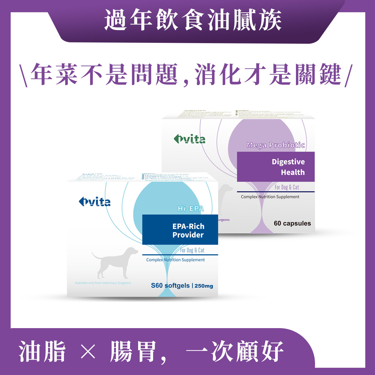 【過年飲食油膩族-小型犬貓】油脂代謝 × 腸胃穩定