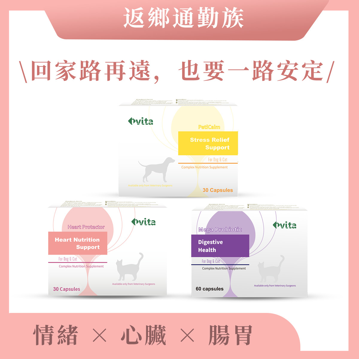 【返鄉通勤族】情緒 × 心臟 × 腸胃