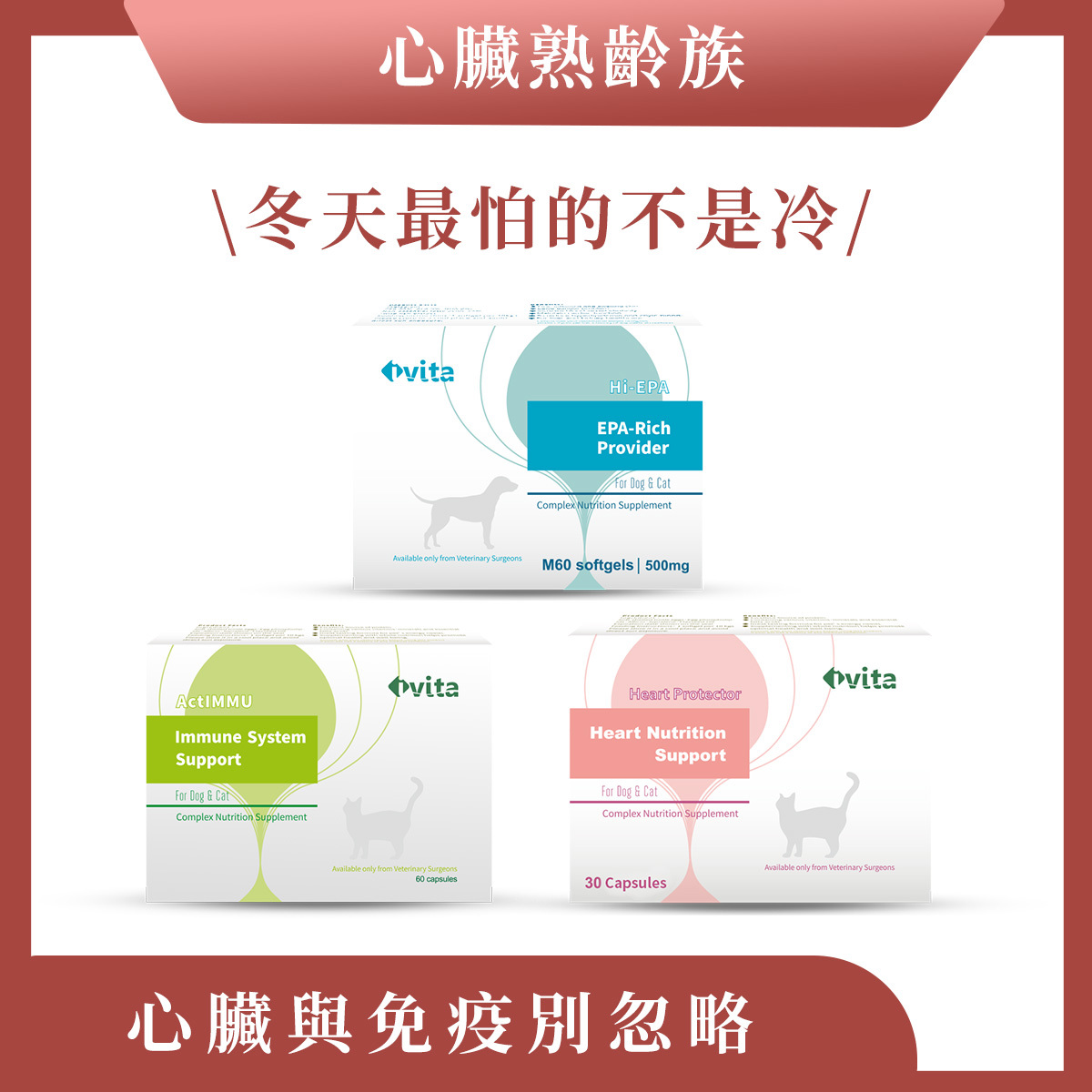 【心臟熟齡族-中大型犬貓】免疫 × 心臟 × 血管