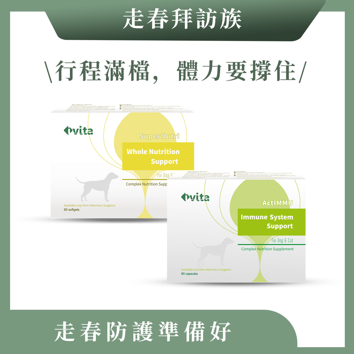 【走春拜訪族】體力 × 免疫