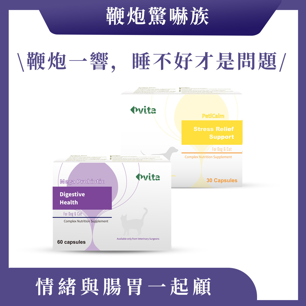 【鞭炮驚嚇族】情緒安定 × 腸胃穩