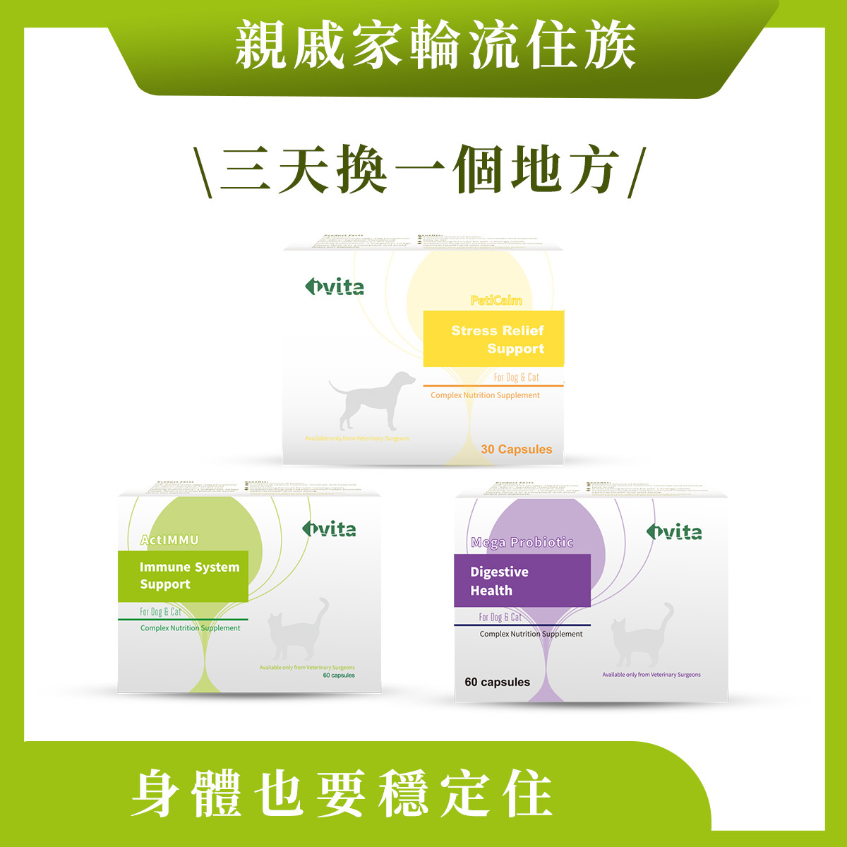 【親戚家輪流住族】情緒 × 免疫 × 腸胃