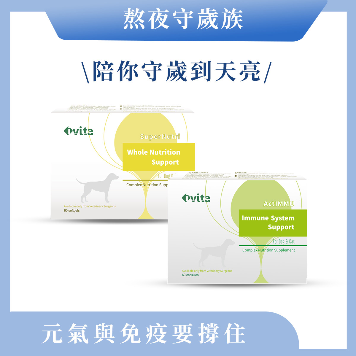 【熬夜守歲族】體力 × 免疫